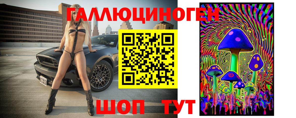 Ессентуки  Галлюциногенные грибы Psilocybine cubensis  Вход с VPN 