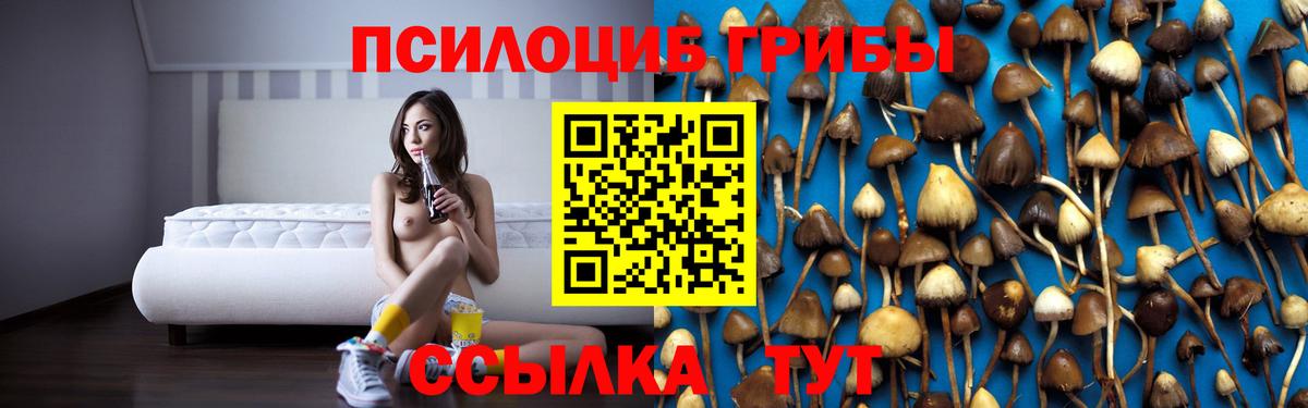 Галлюциногенные грибы Magic Shrooms Ессентуки